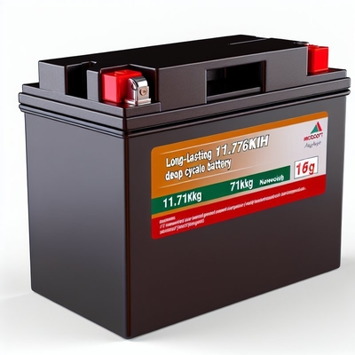 Bon prix 51.2V 230Ah Voiture de golf LiFePO4 Batterie avec Smart BMS 11,8 kWh en ligne